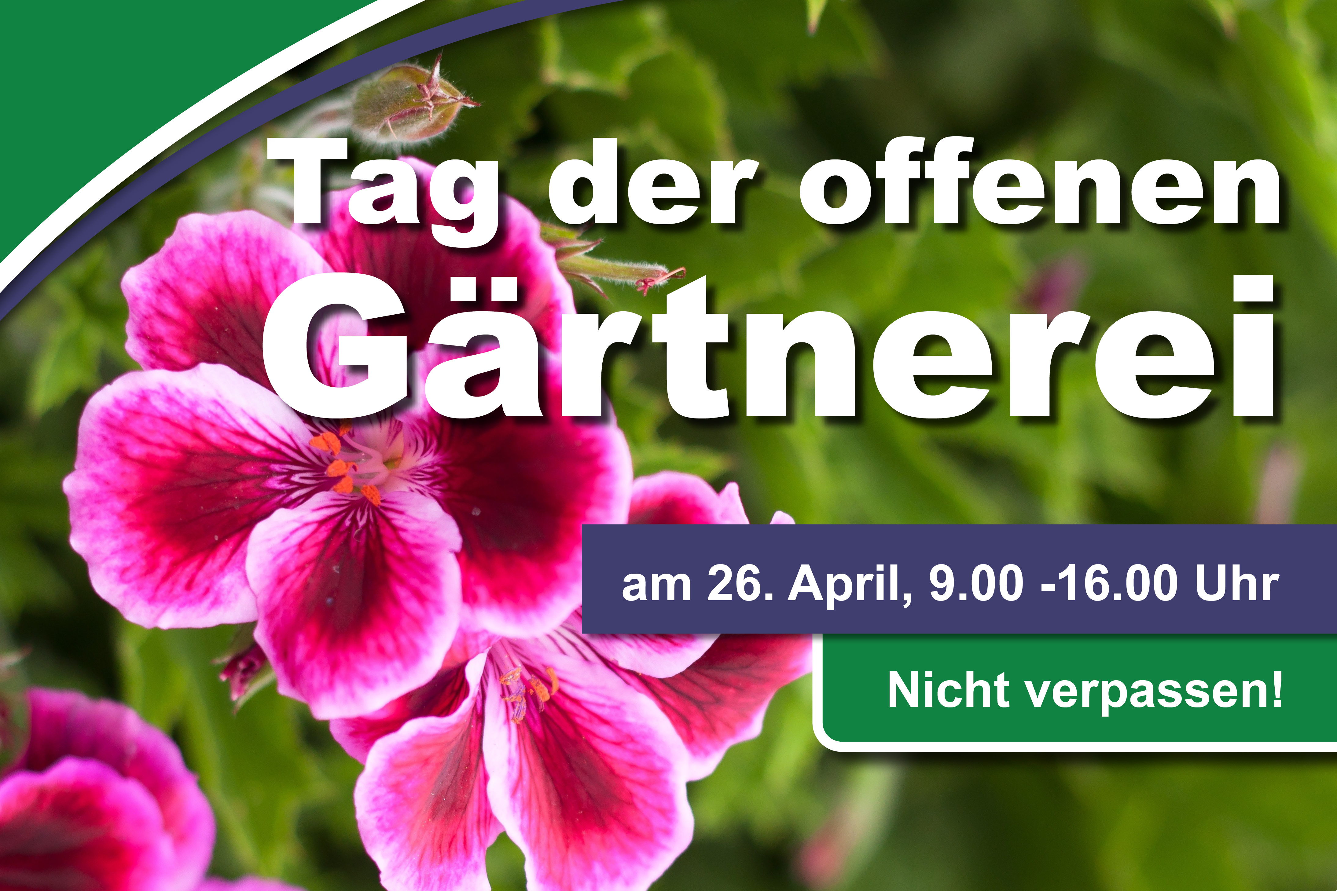 Blumenmeinhardt.de | Banner_Website_TDog_25_converted Start